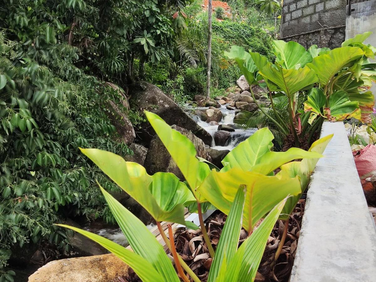 Riverside Mount Simpson - Seychelles Island Beau Vallon  Exteriör bild