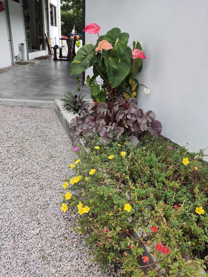 Riverside Mount Simpson - Seychelles Island Beau Vallon  Exteriör bild