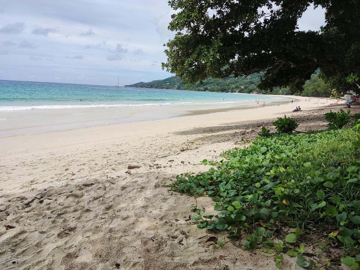 Riverside Mount Simpson - Seychelles Island Beau Vallon  Exteriör bild